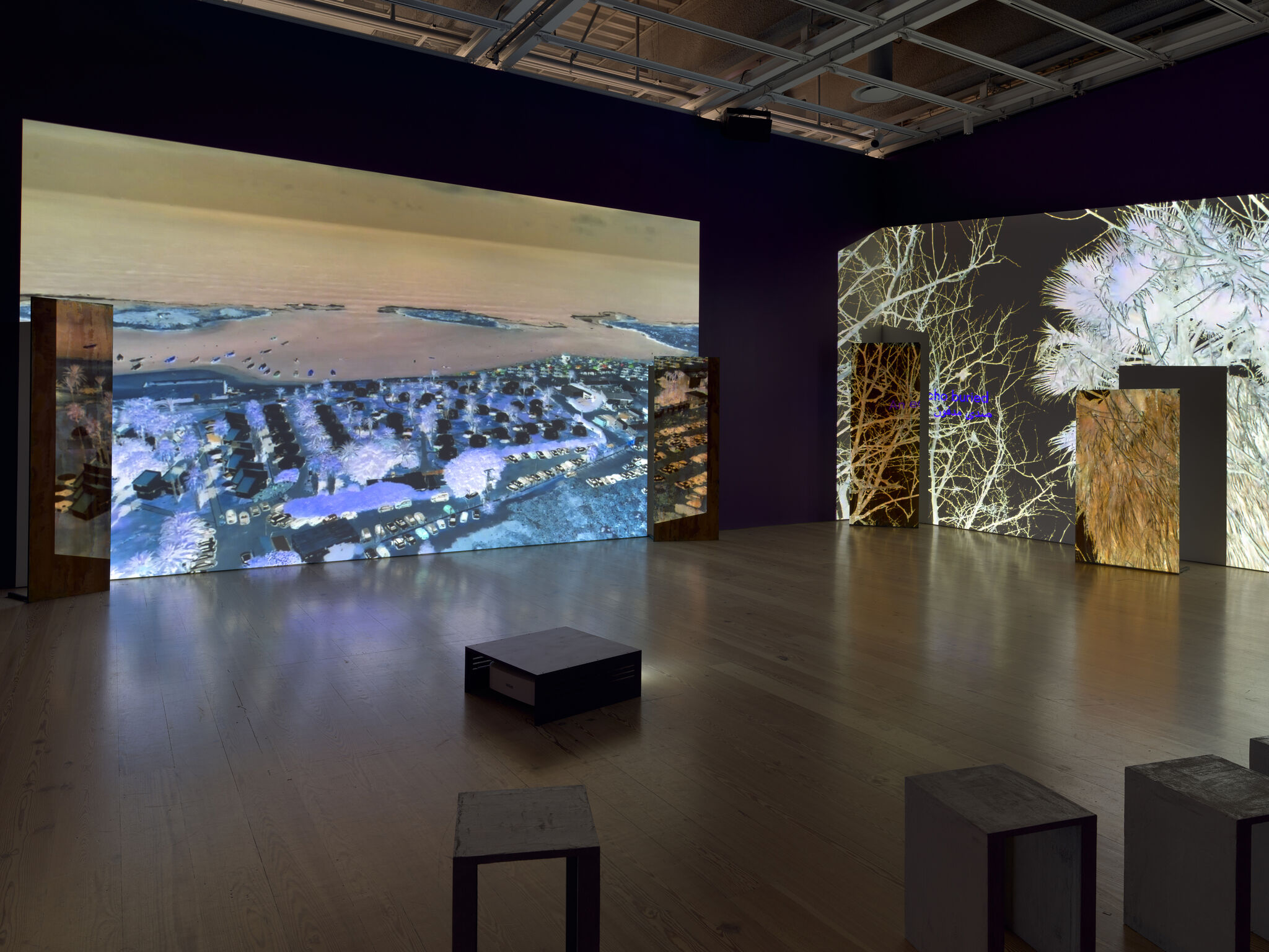 Large dark gallery with multiple wall projections showing an aerial landscape and tree imagery.