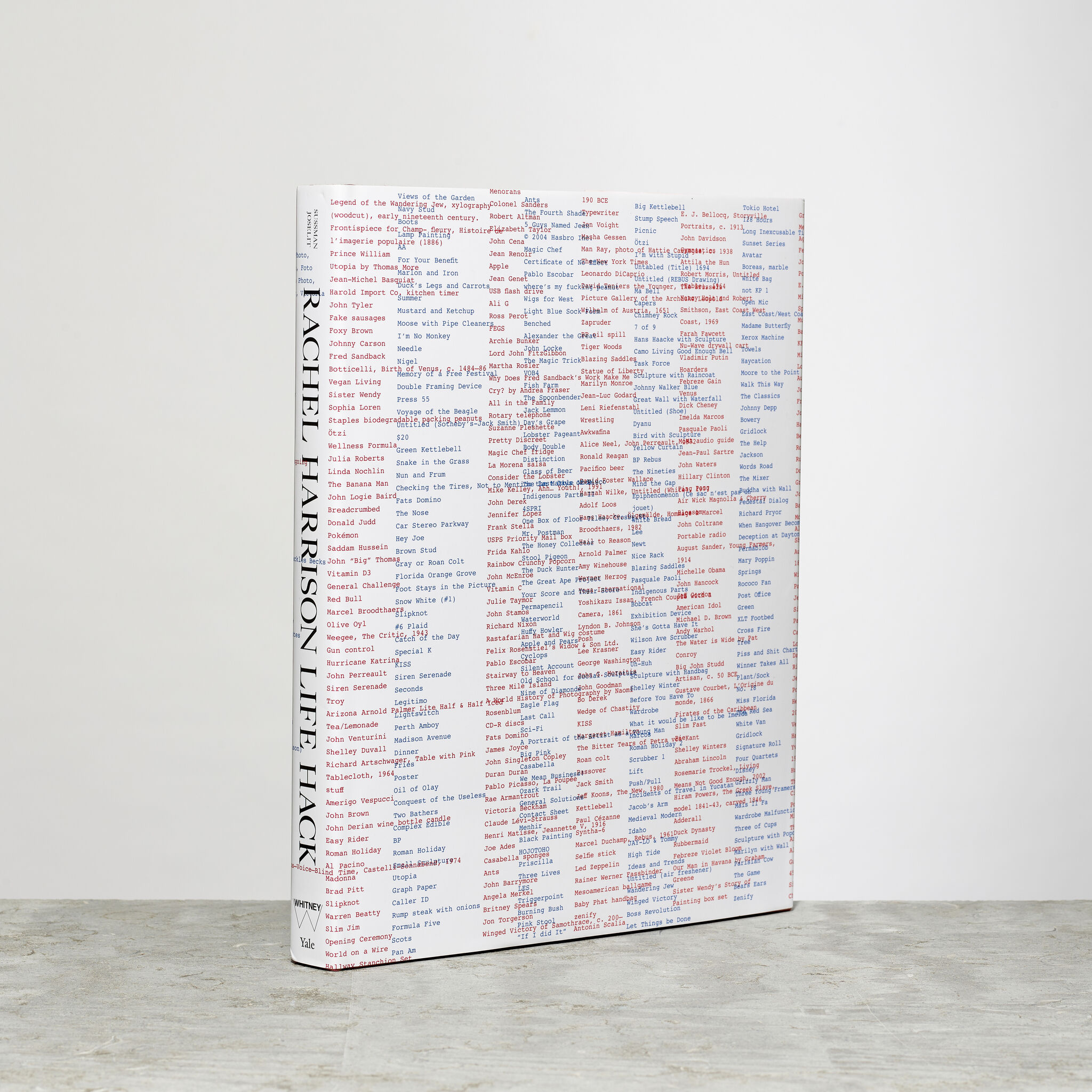 Tall white book covered in small red and blue typed words.
