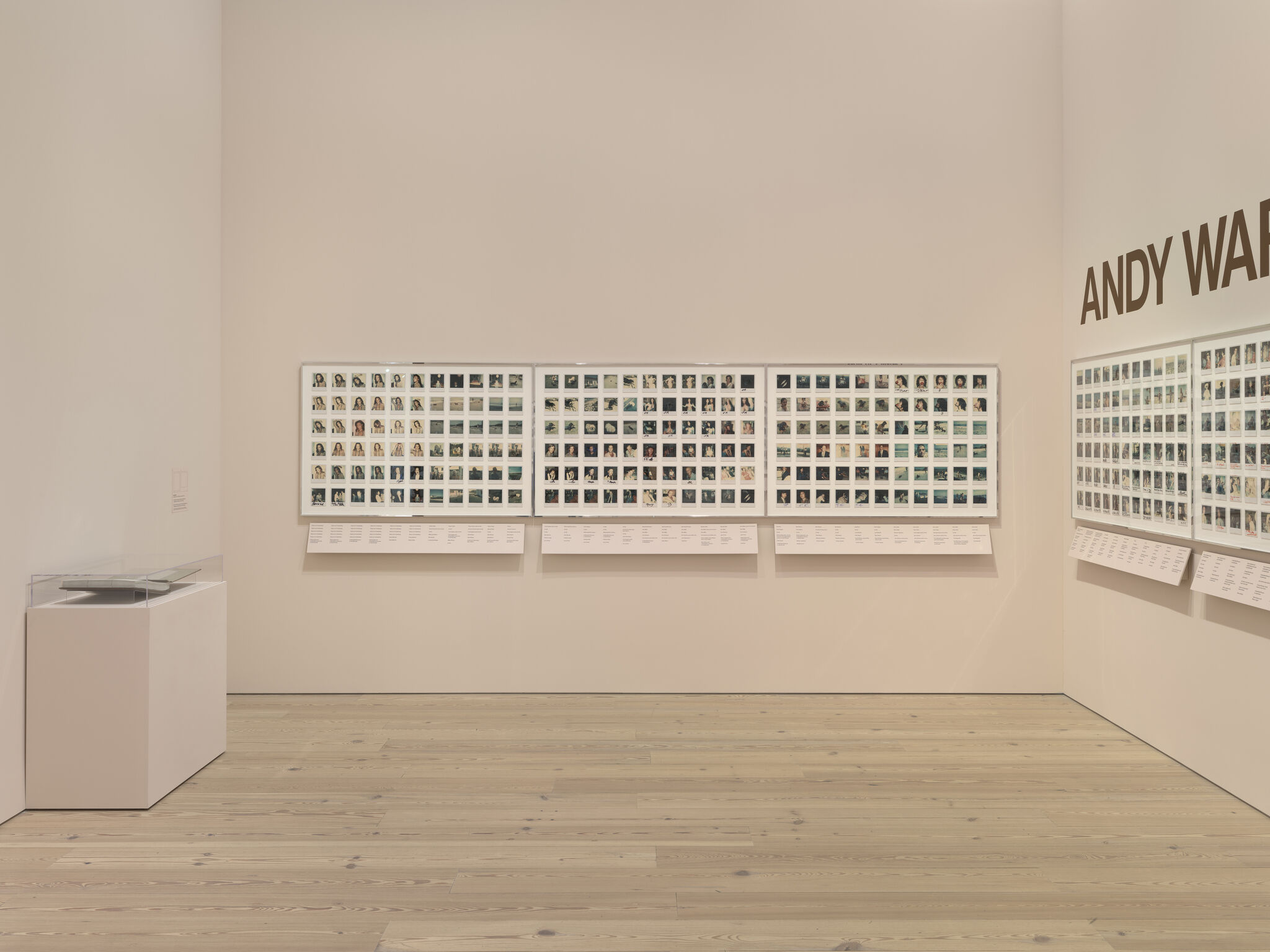 A gallery wall displays dozens of small Polaroid photographs arranged in grids with Andy Warhol text.